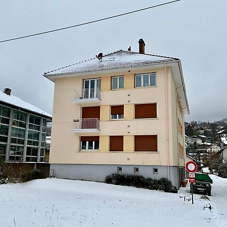 Les Violettes, Bel Appartement Au Centre-Ville Gerardmer Luaran gambar